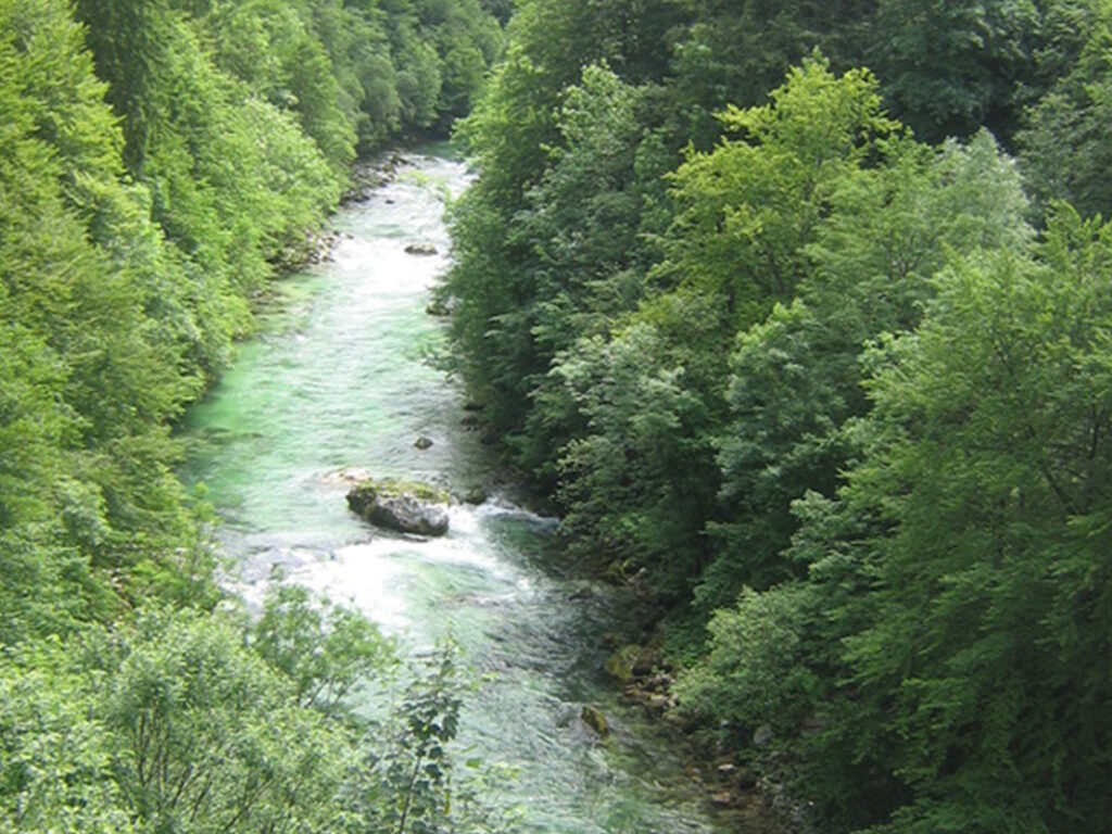 2296952_1_orig