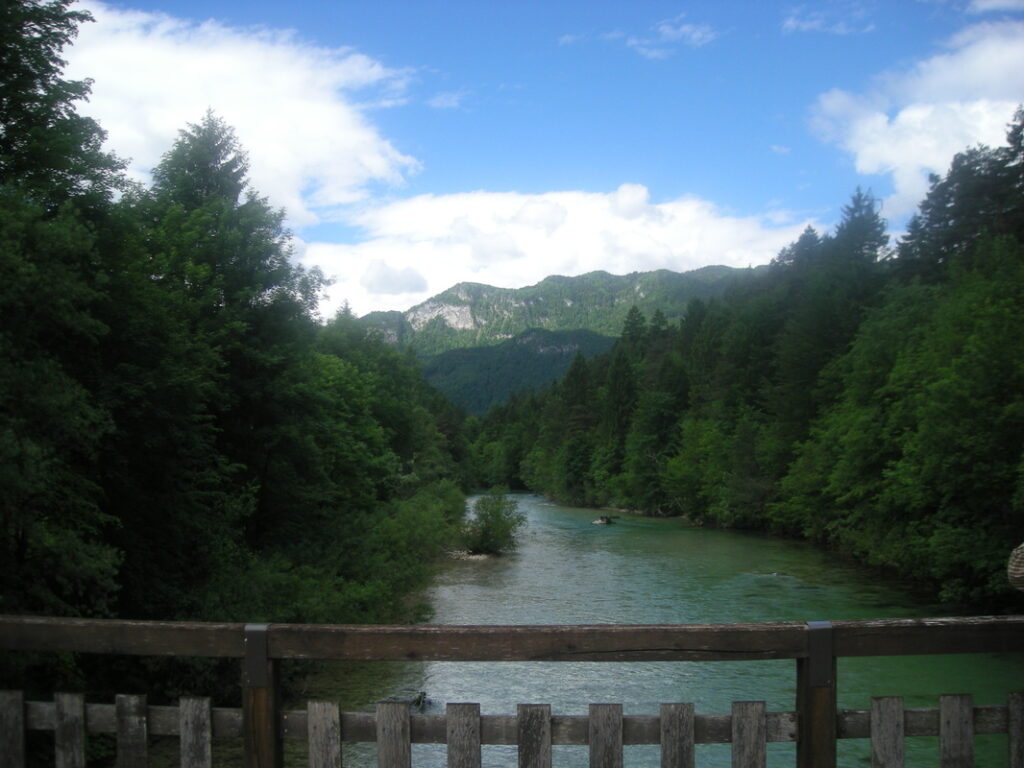 5614113_1_orig