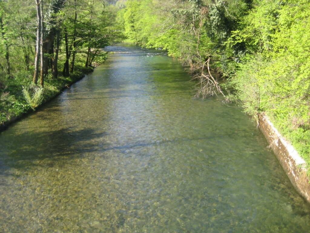 8394689_1_orig