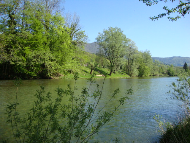 9327071_1_orig