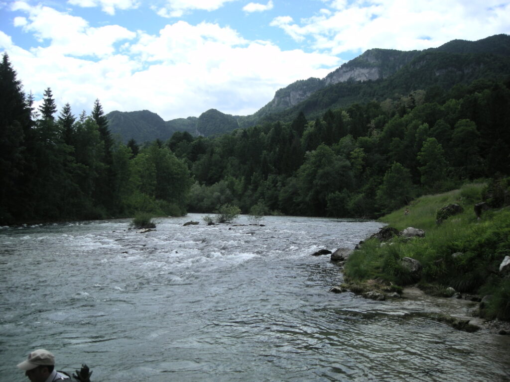 9399798_1_orig